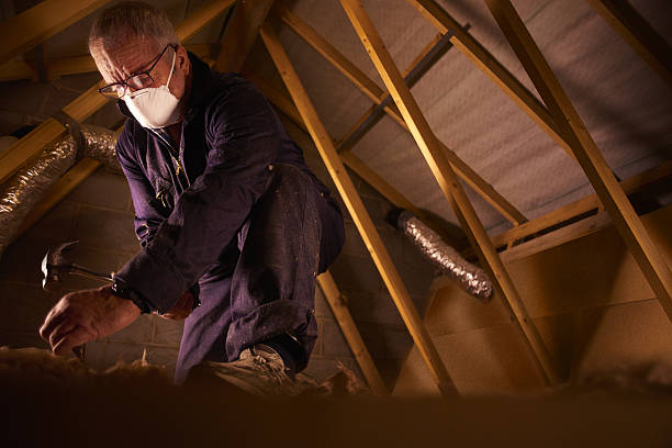 Best Specialty Insulation in Clifton Heights, PA